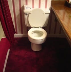 red-carpet-in-bathroom