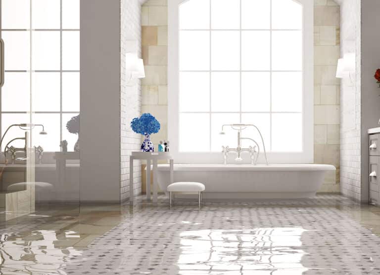 Plumbing Perspective 2025