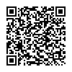 Plumbing Perspective 2025